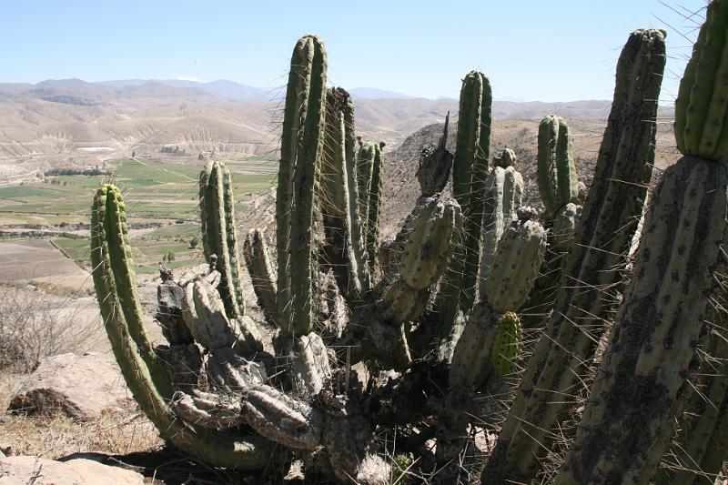 Peru 0622
